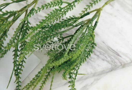 ТРАВКА ДЕКОРАТИВНАЯ "ALGA"