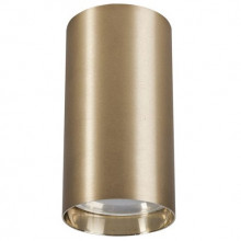 НАКЛАДНОЙ ТОЧЕЧНЫЙ СВЕТИЛЬНИК "EYE" BRASS S
